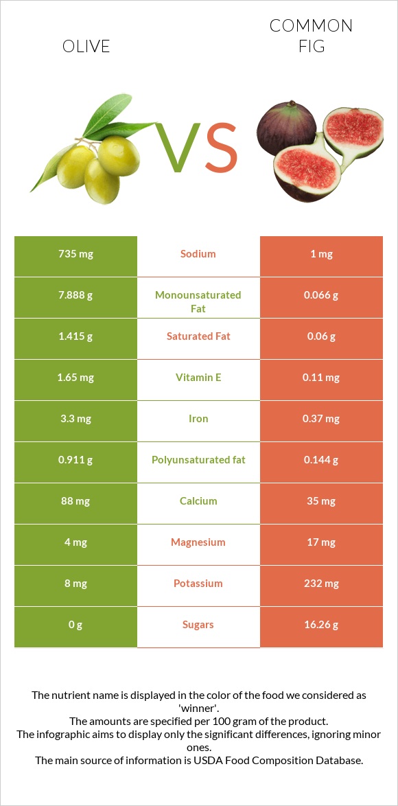 Olive vs Common fig infographic