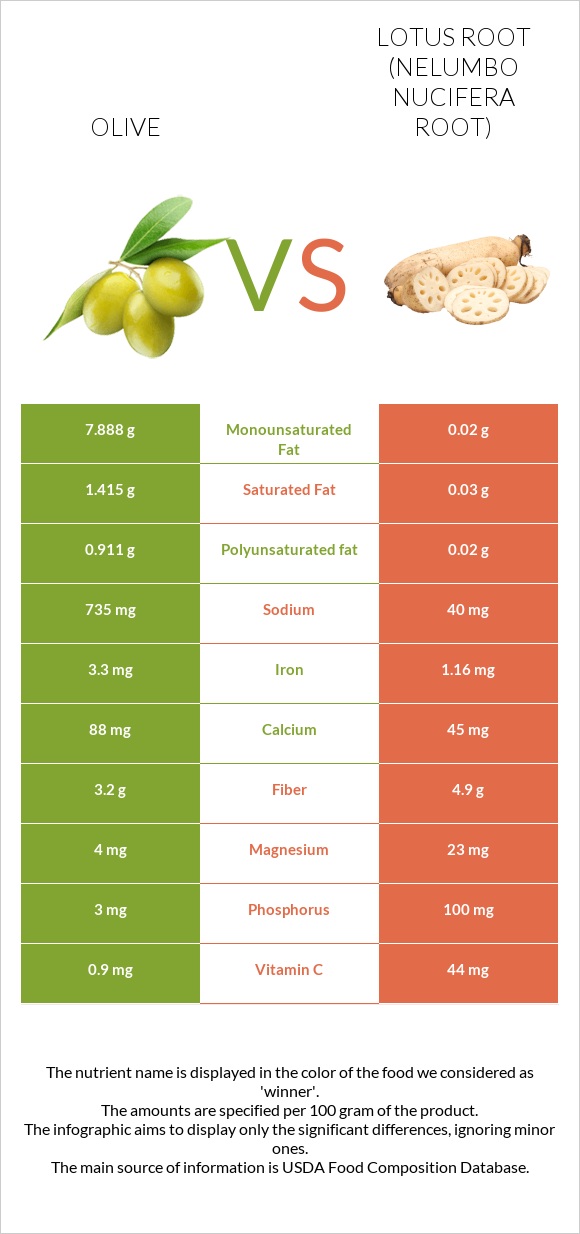 Olive vs Lotus root infographic
