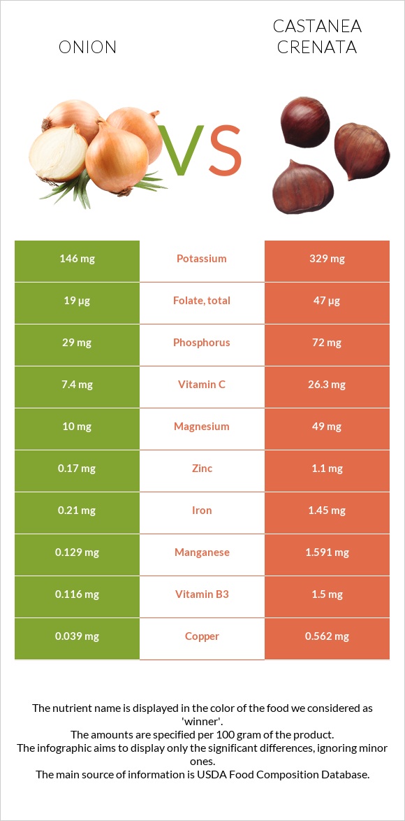 Onion vs Castanea crenata infographic