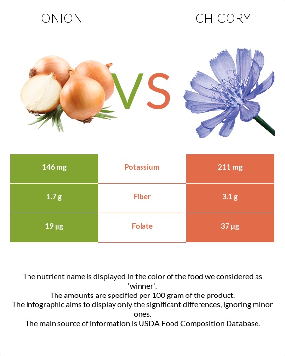 Onion vs Chicory infographic