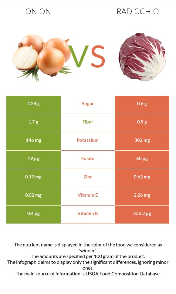 Onion vs Radicchio infographic