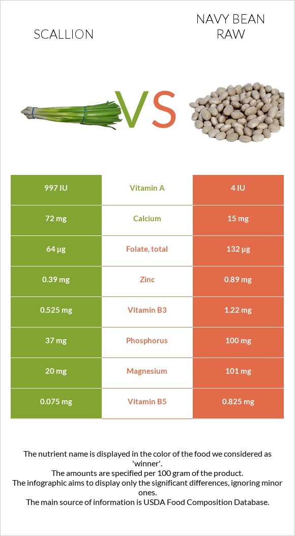 Scallion vs Navy bean raw infographic