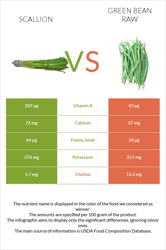 Scallion vs Green bean raw infographic