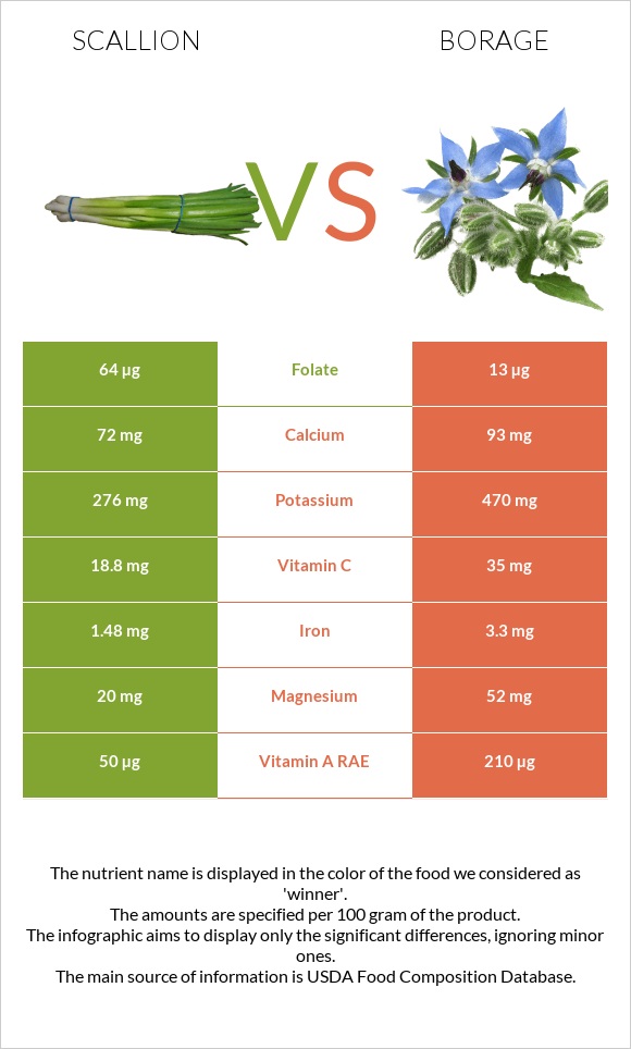 Կանաչ սոխ vs Borage infographic