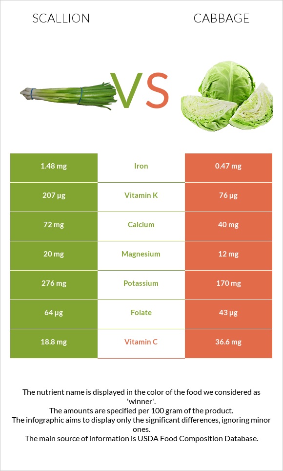 Scallion vs Cabbage infographic