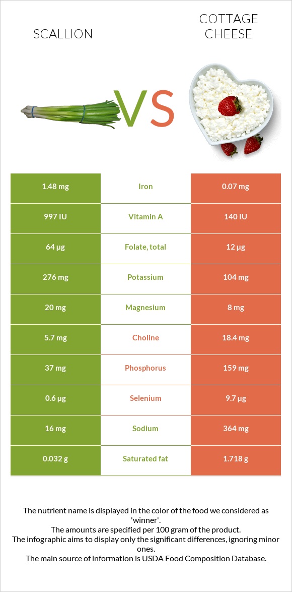 Scallion vs Cottage cheese infographic