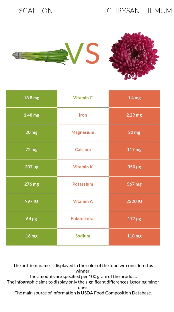 Կանաչ սոխ vs Քրիզանթեմ infographic