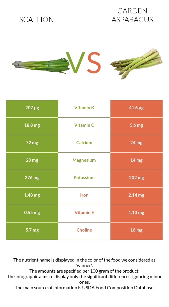 Scallion vs Garden asparagus infographic