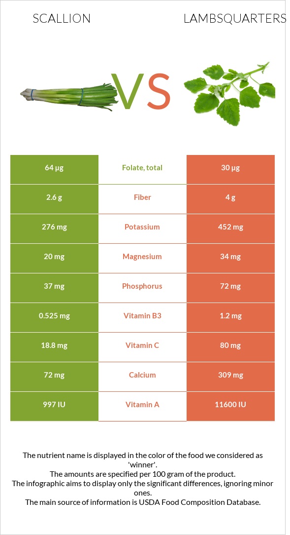 Կանաչ սոխ vs Lambsquarters infographic