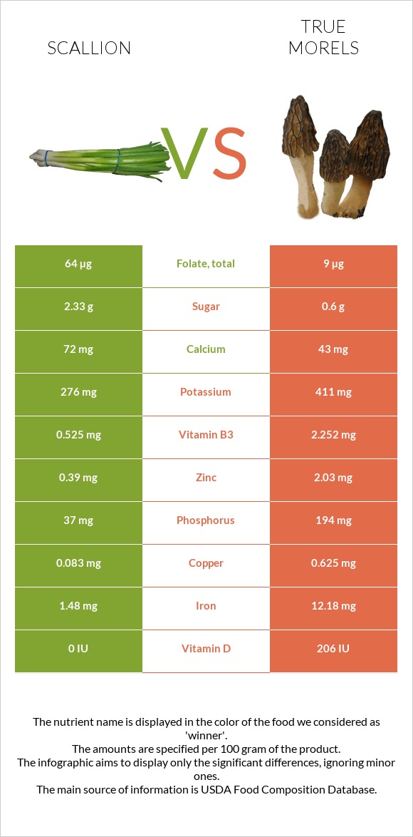 Կանաչ սոխ vs True morels infographic