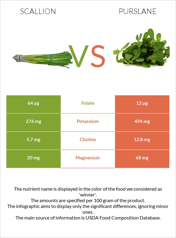 Կանաչ սոխ vs Purslane infographic