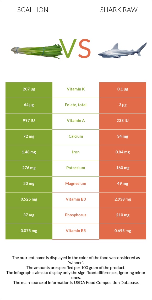 Scallion vs Shark raw infographic
