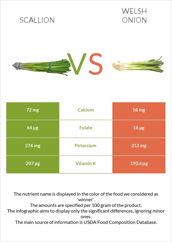 Scallion vs Welsh onion infographic