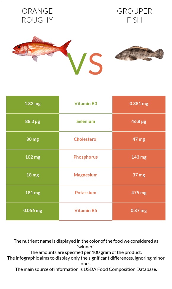 Orange roughy vs Grouper fish infographic