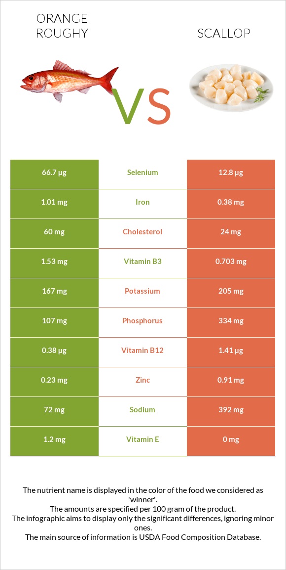 Orange roughy vs Scallop infographic