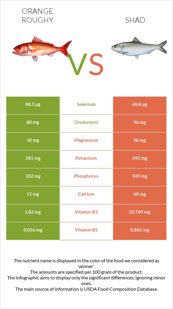 Orange roughy vs Shad infographic