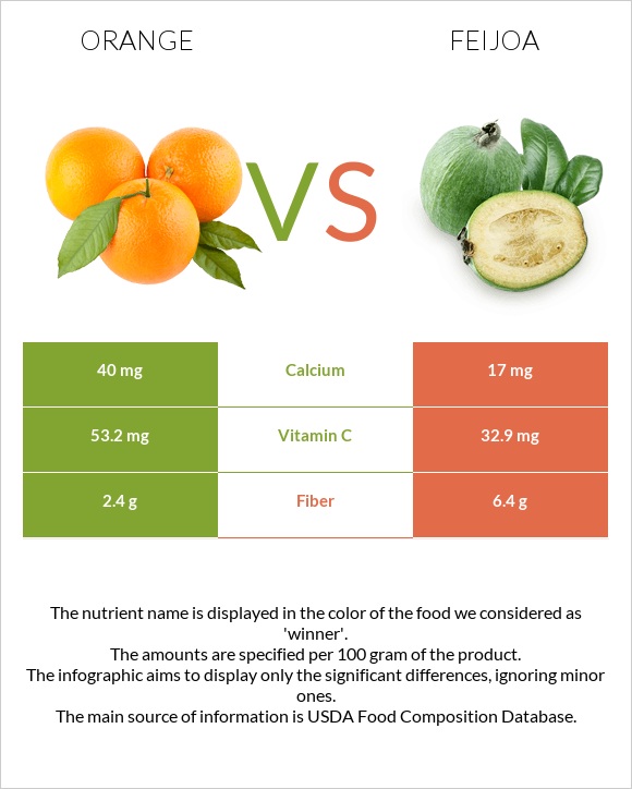 Orange vs Feijoa infographic