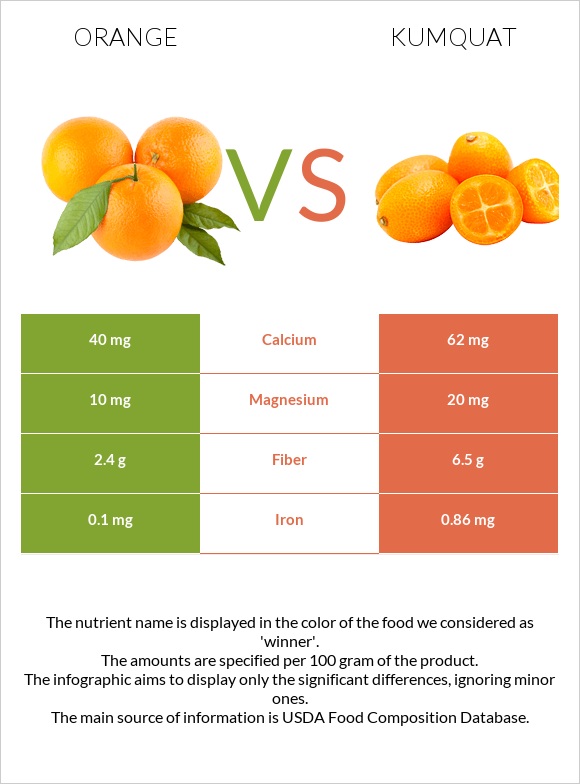 Orange vs Kumquat infographic