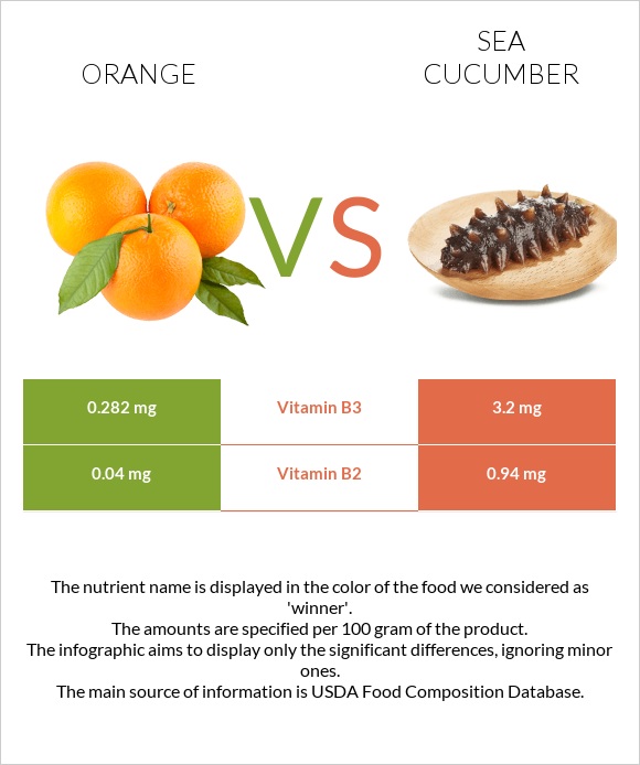 Orange vs Sea cucumber infographic