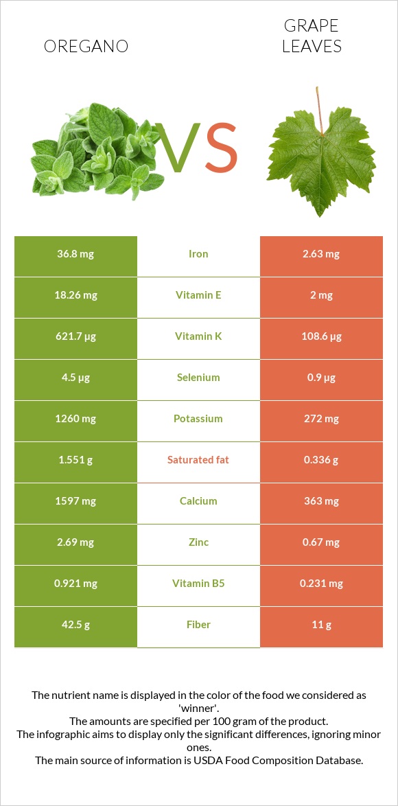 Վայրի սուսամբար vs Խաղողի թուփ infographic