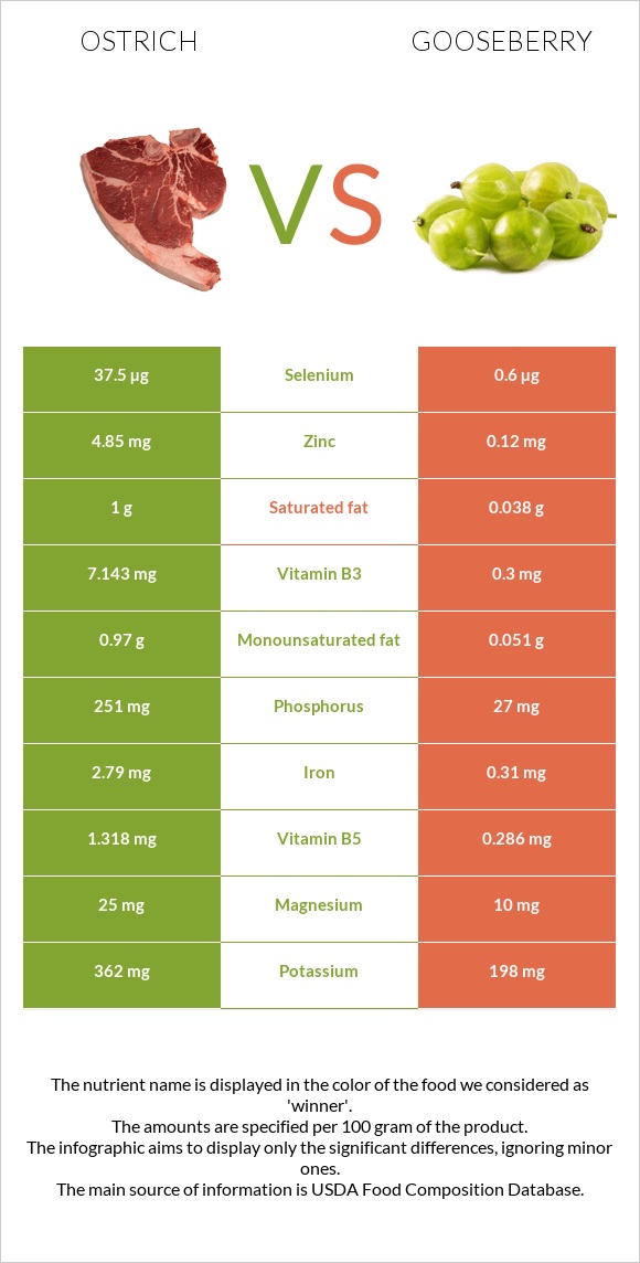 Ջայլամ vs Փշահաղարջ infographic