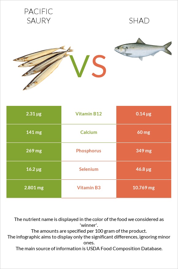 Pacific saury vs Shad infographic