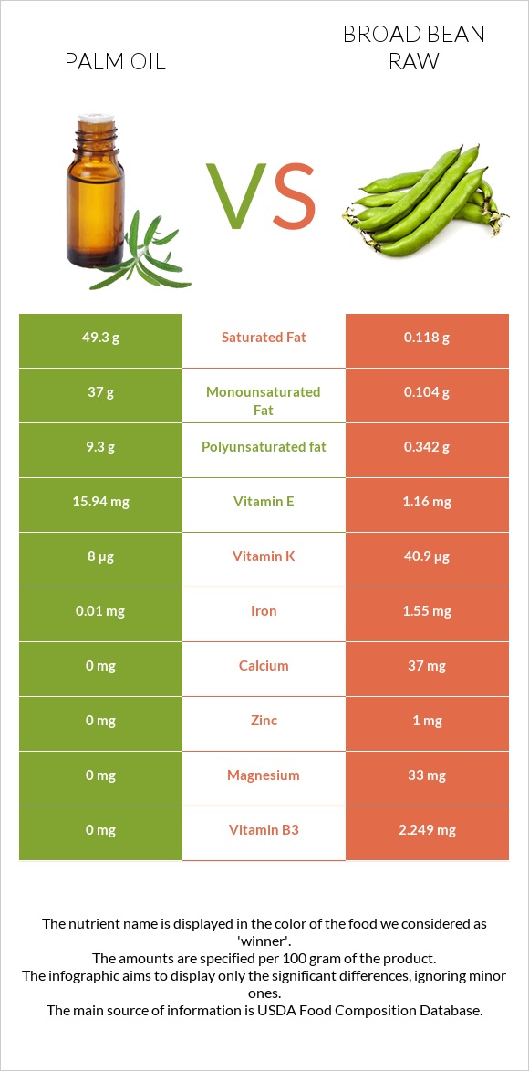 Palm oil vs Broad bean raw infographic