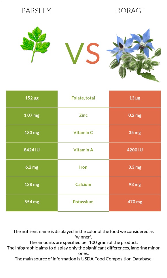 Parsley vs Borage infographic