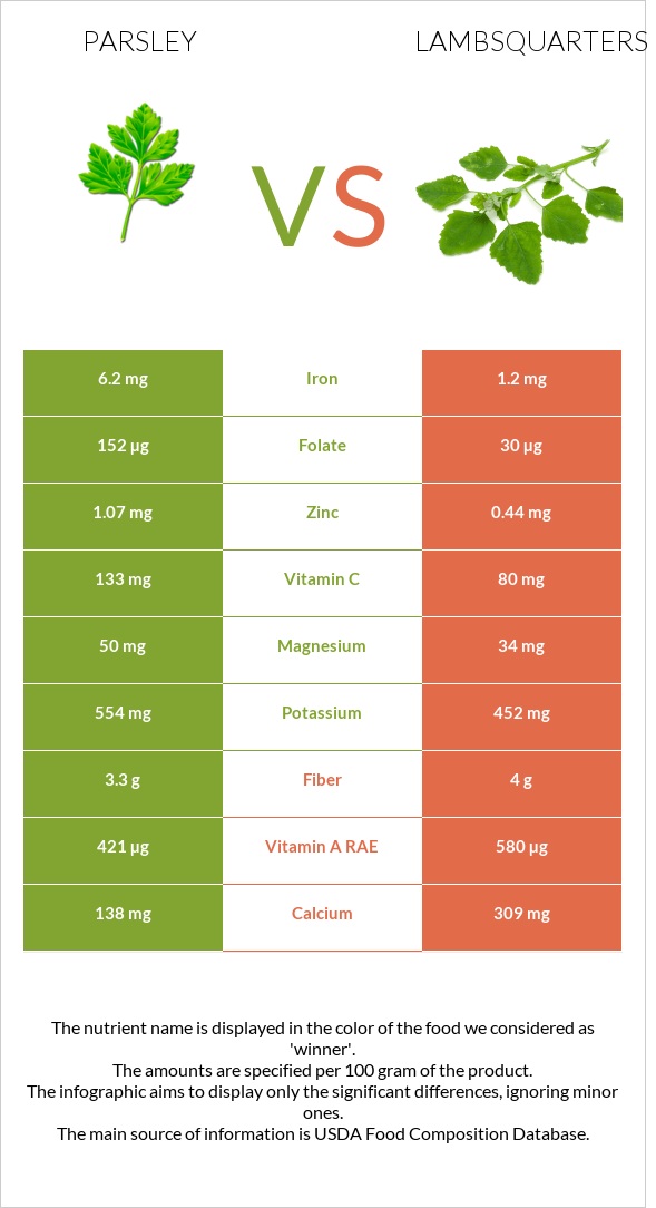 Parsley vs Lambsquarters infographic