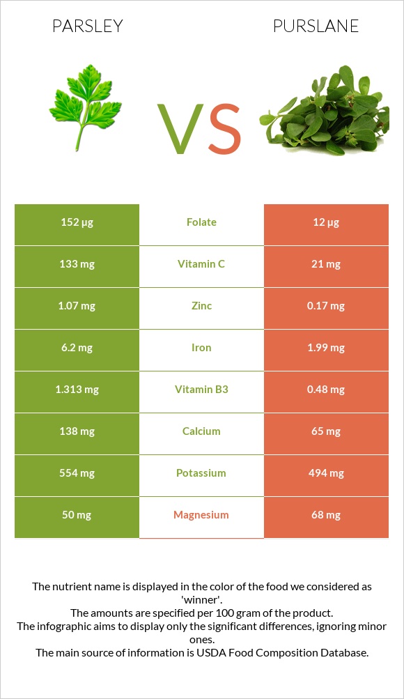 Parsley vs Purslane infographic