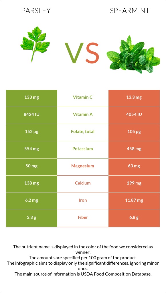 Parsley vs Spearmint infographic