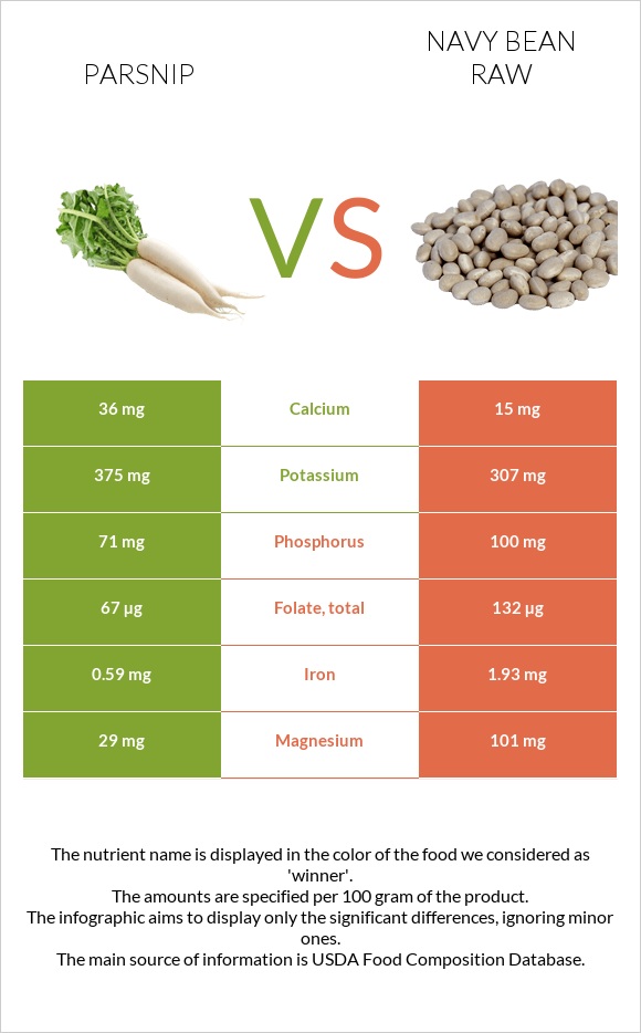 Parsnip vs Navy bean raw infographic