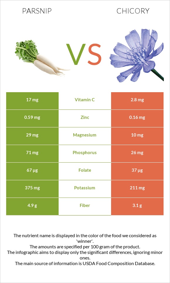 Parsnip vs Chicory infographic