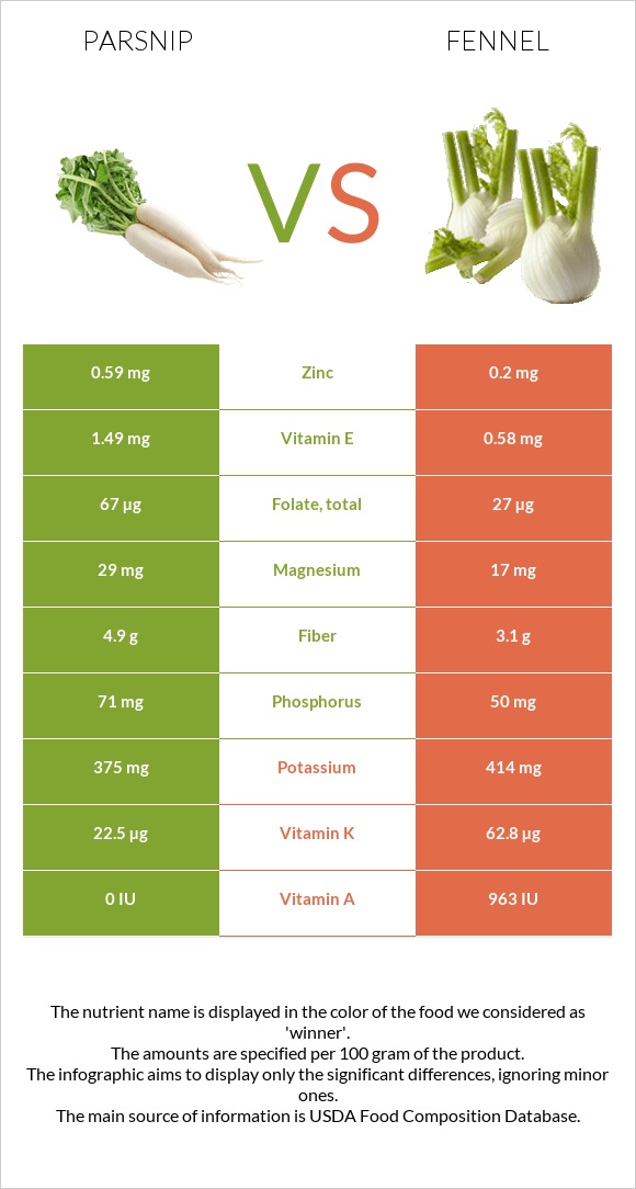 Parsnip vs Fennel infographic