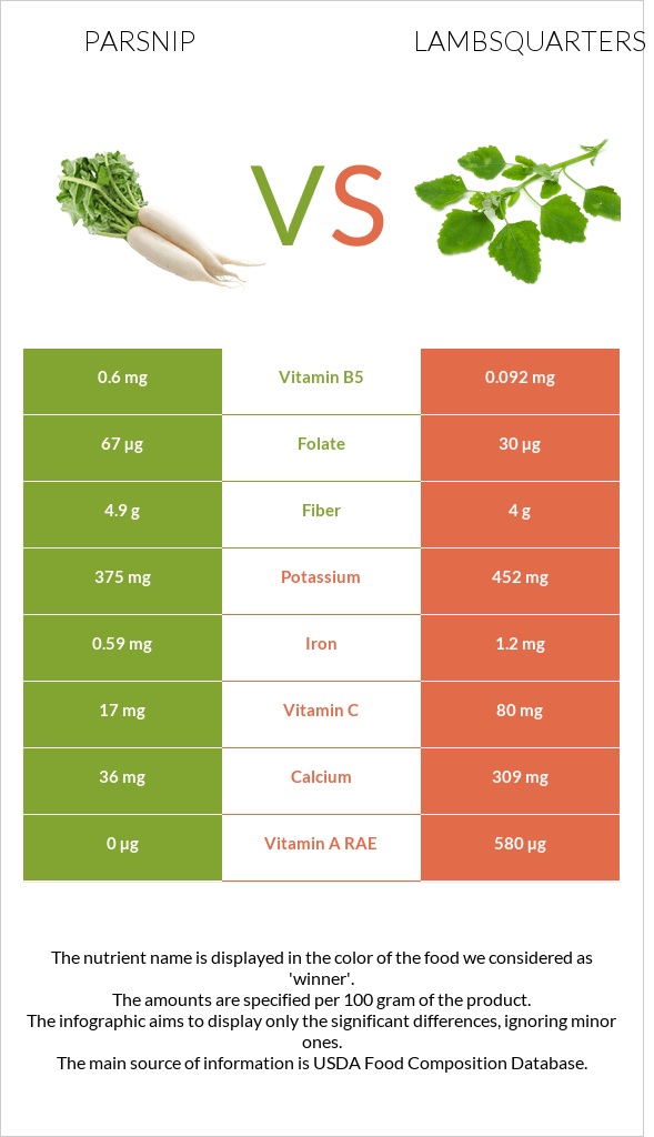 Parsnip vs Lambsquarters infographic