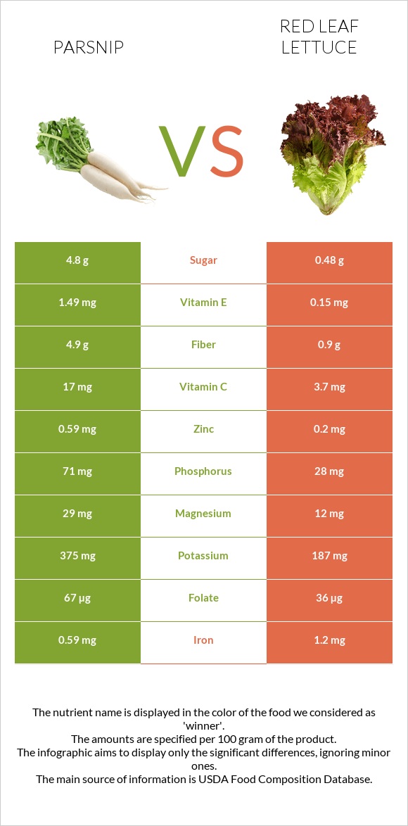 Parsnip vs Red leaf lettuce infographic