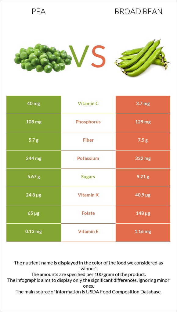 Pea vs Broad bean infographic