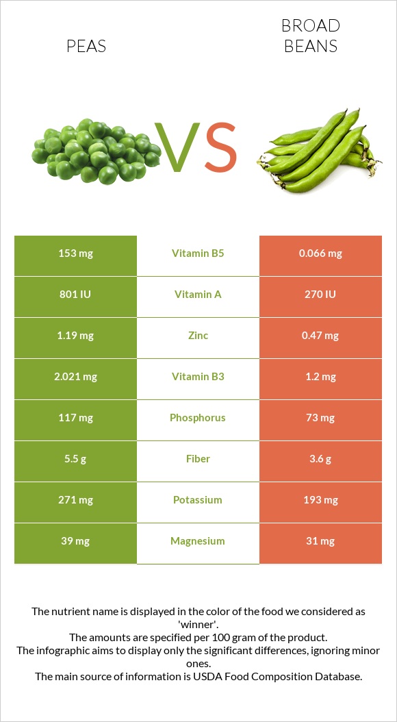 Pea vs Broad bean infographic