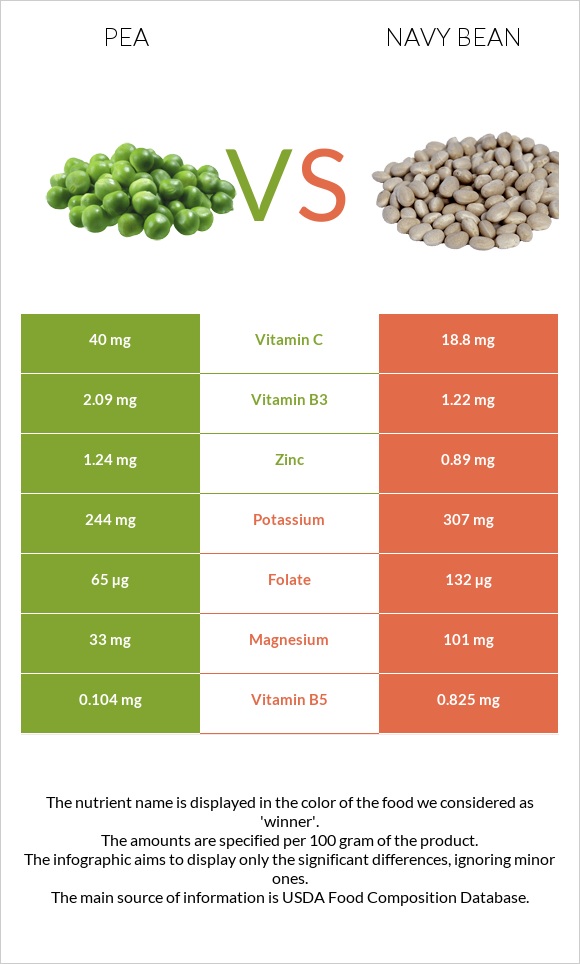 Pea vs Navy beans infographic