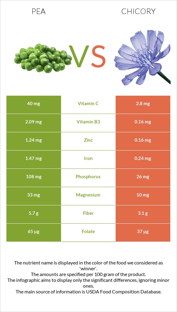 Pea vs Chicory infographic