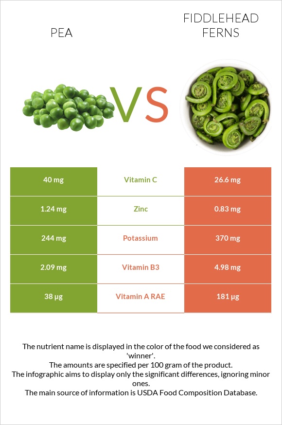 Pea vs Fiddlehead ferns infographic