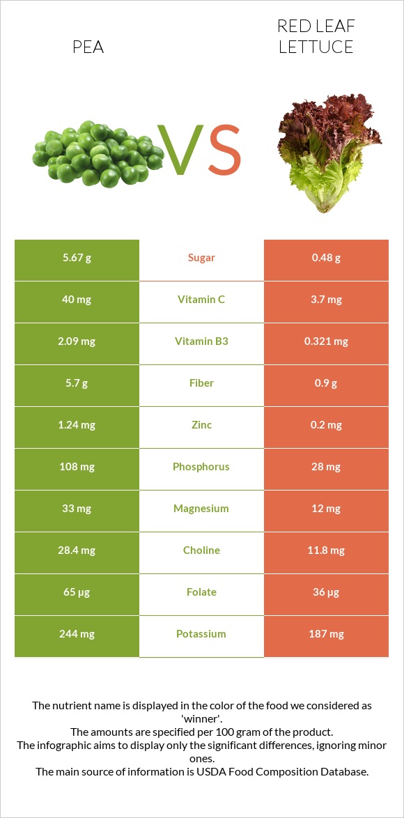 Pea vs Red leaf lettuce infographic