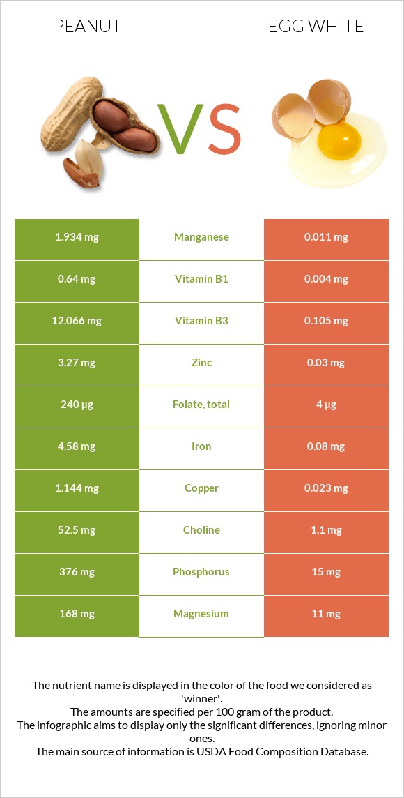 Գետնանուշ vs Ձվի սպիտակուց infographic