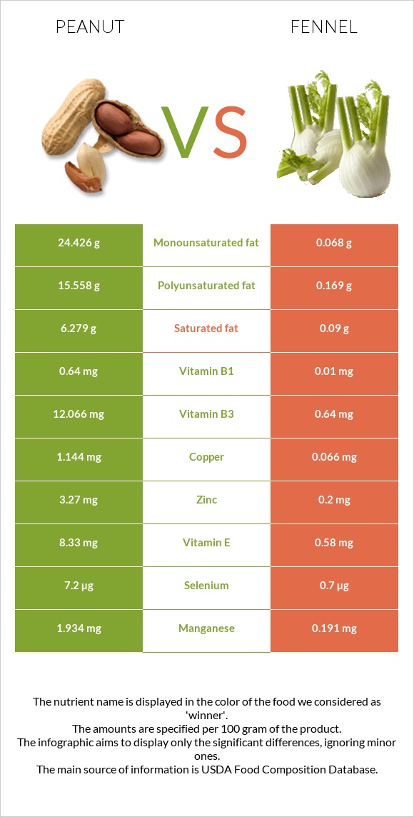 Գետնանուշ vs Ֆենխել infographic