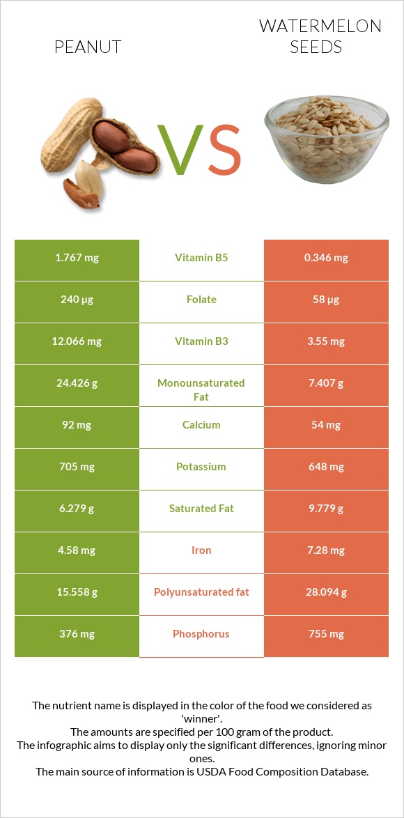Գետնանուշ vs Watermelon seeds infographic