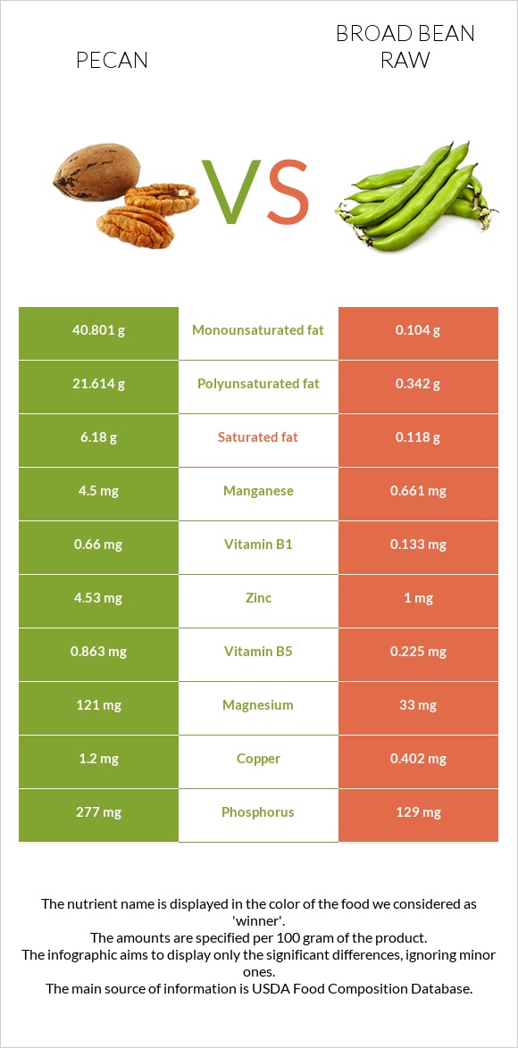 Pecan vs Broad bean raw infographic