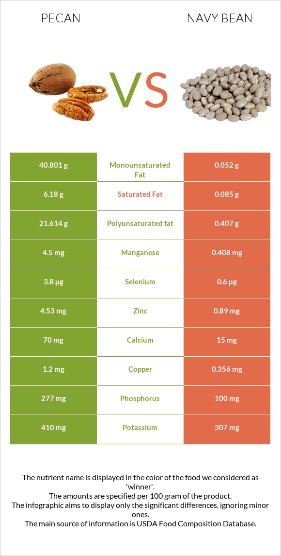 Pecan vs. Navy beans — In-Depth Nutrition Comparison