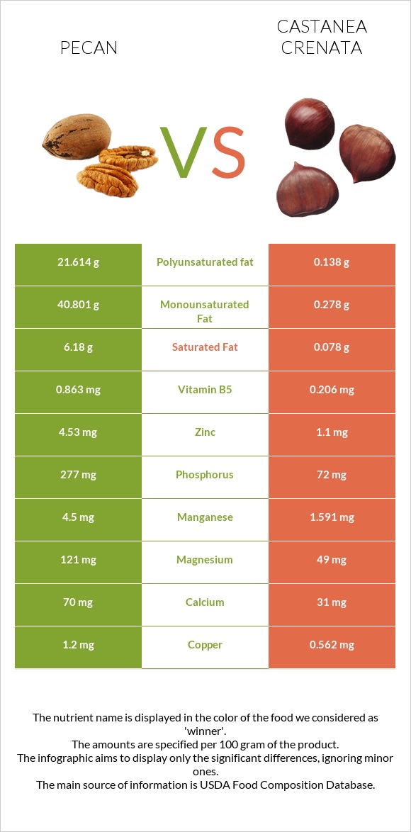 Pecan vs Castanea crenata infographic