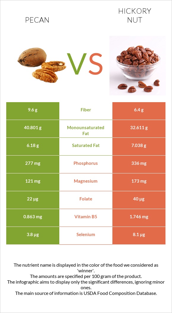 Pecan vs Hickory nut infographic