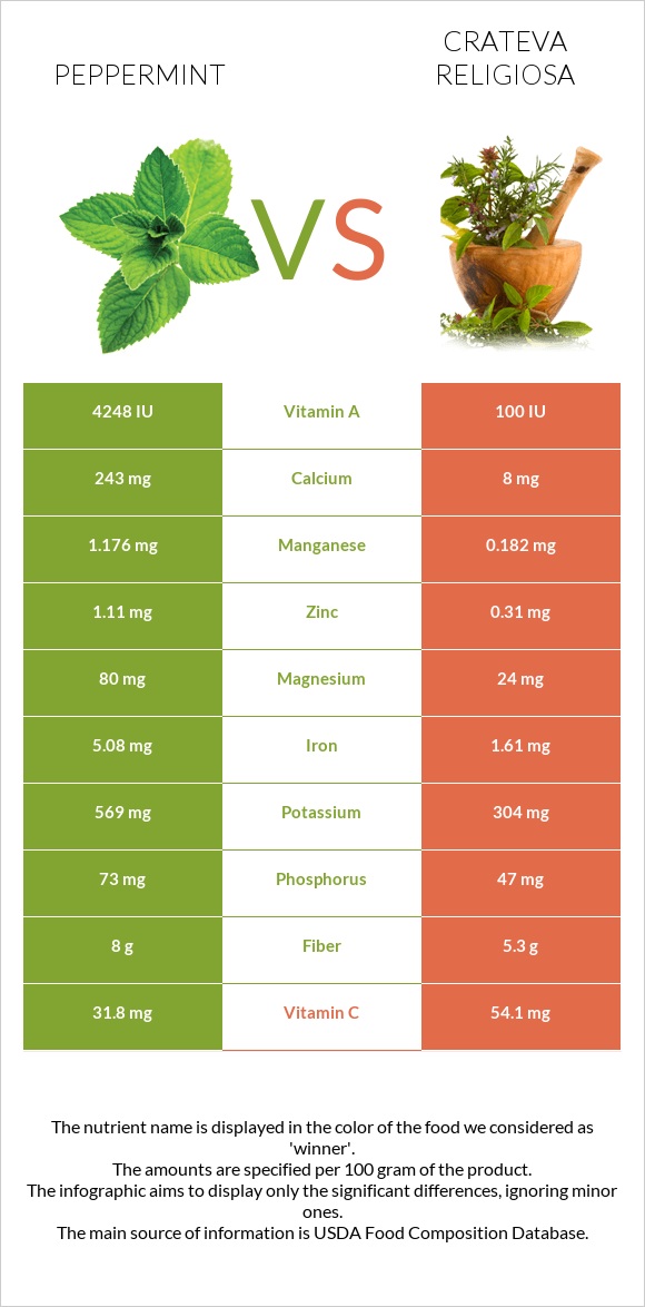 Peppermint vs Crateva religiosa infographic